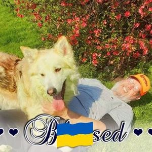 Meet your Posher, Scott